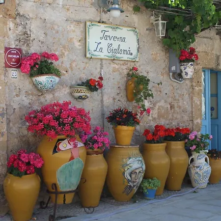 بيت للعطل Casa Degli Ulivi *